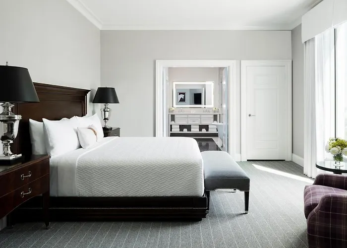 Top Accommodations in Ocala, Florida's Nature Haven