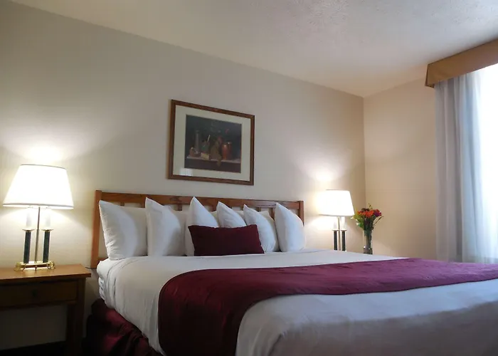 Best Calexico Hotels