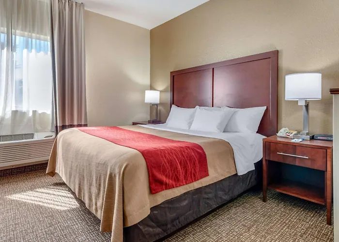 Best Fremont Street Hotels in Las Vegas