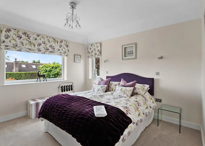 Best Hotels at Alton Towers for Thrill-Seekers