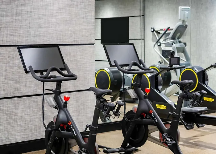 Top Accommodations in the Windy City