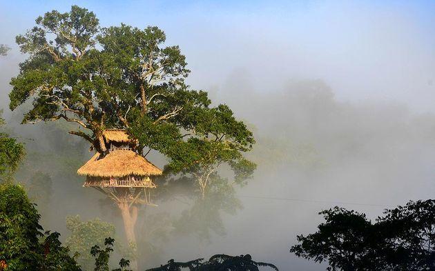gibbon-experience-boomhut-laos