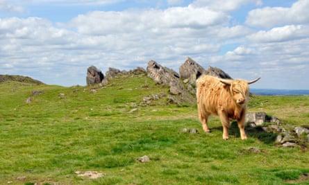 Beacon Hill, Leicestershire