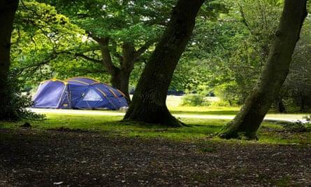 Ashurst Campsite, New Forest