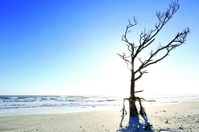 Little Talbot Island State Park