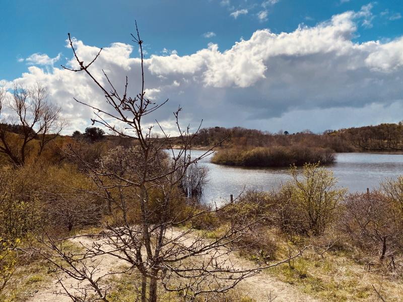 Zandvoort Kennemerduinen