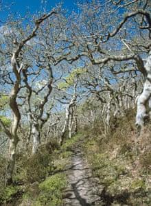Ten top UK winter walks: Lawrenny, Pembrokeshire | Wales holidays