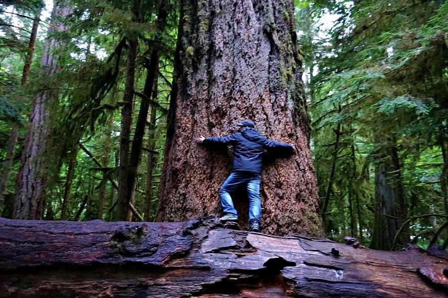 things to do on vancouver island